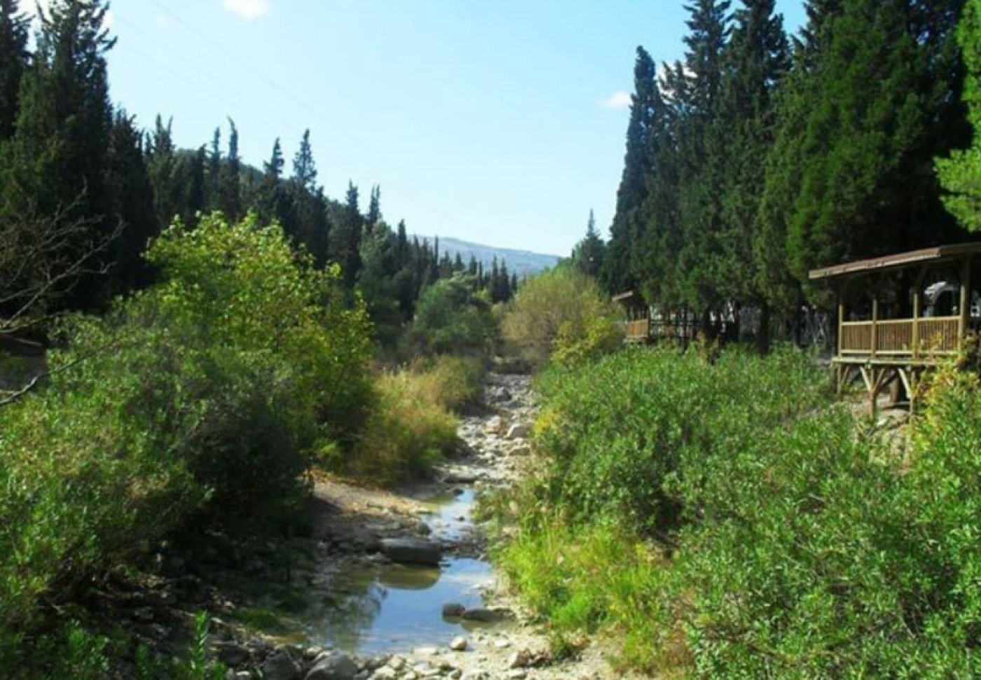 manisada gezilecek yerler - süreyya tabiat parkı-i65a68c39045de.jpg